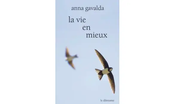 La vie en mieux-Anna Gavalda